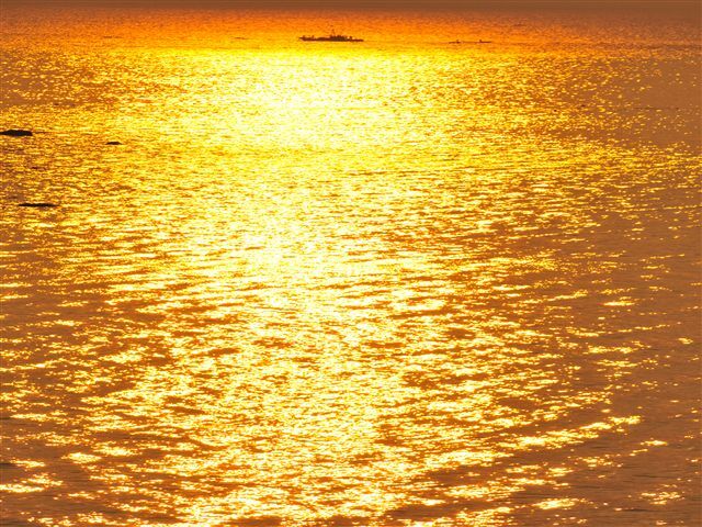 黄金の海