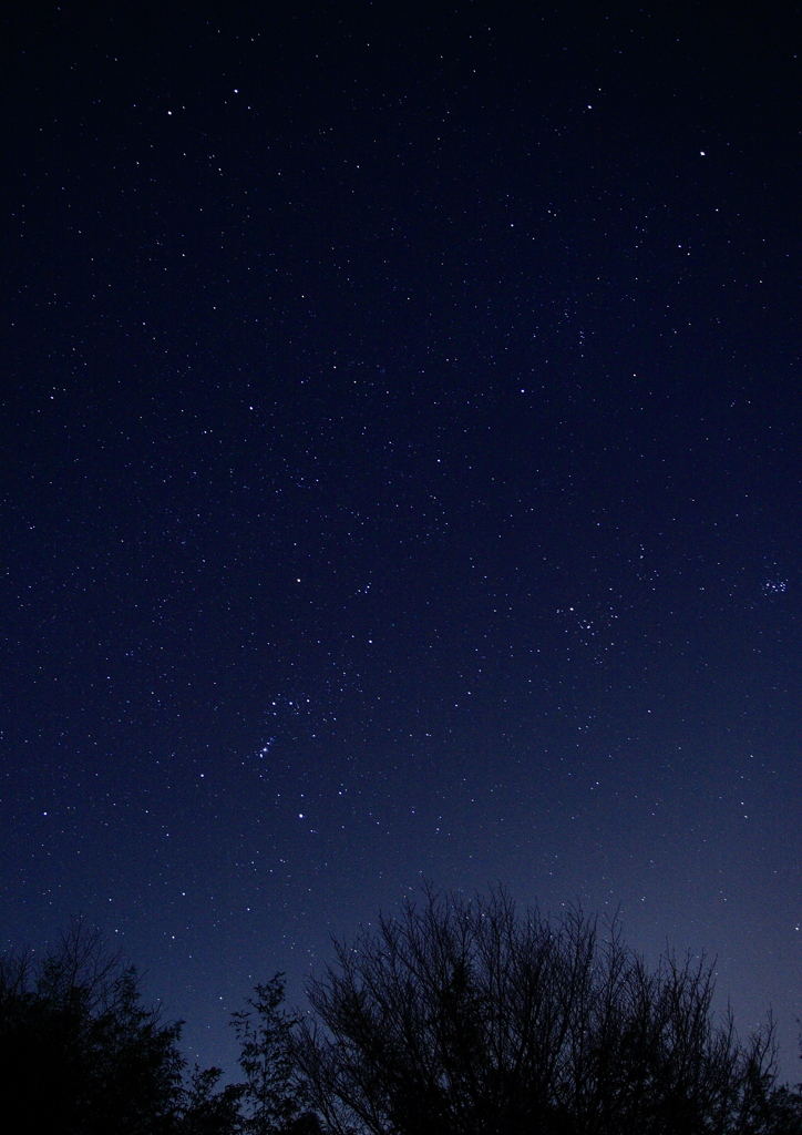 冬の星座
