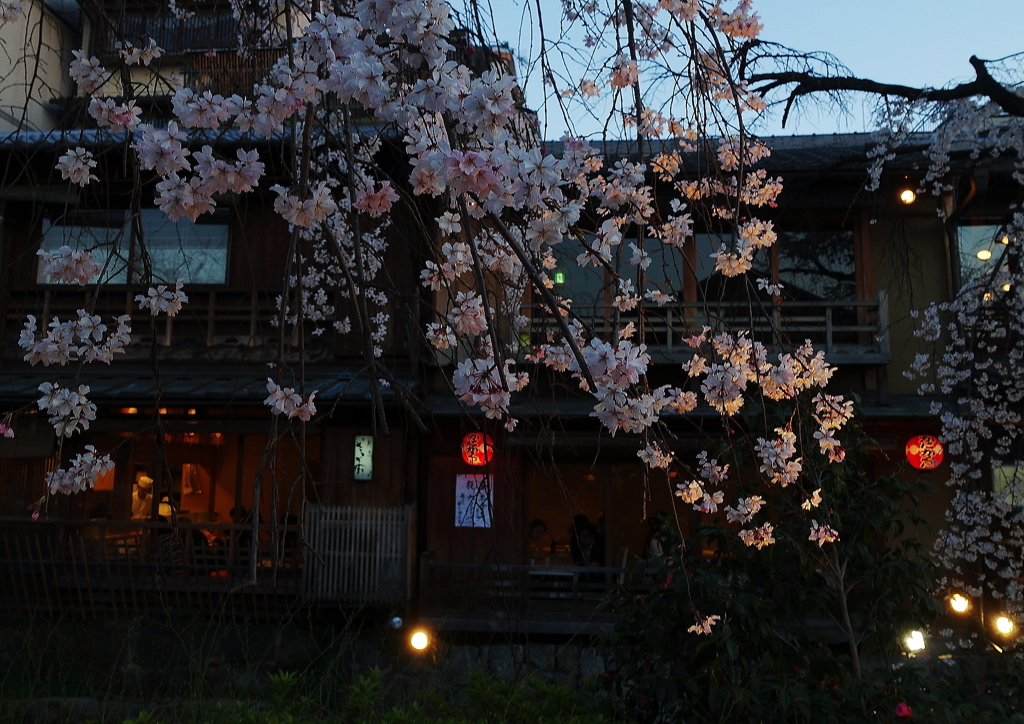 祇園白川