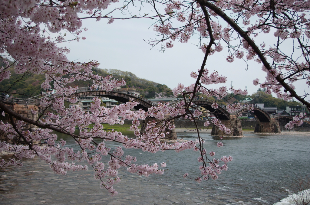 錦帯橋