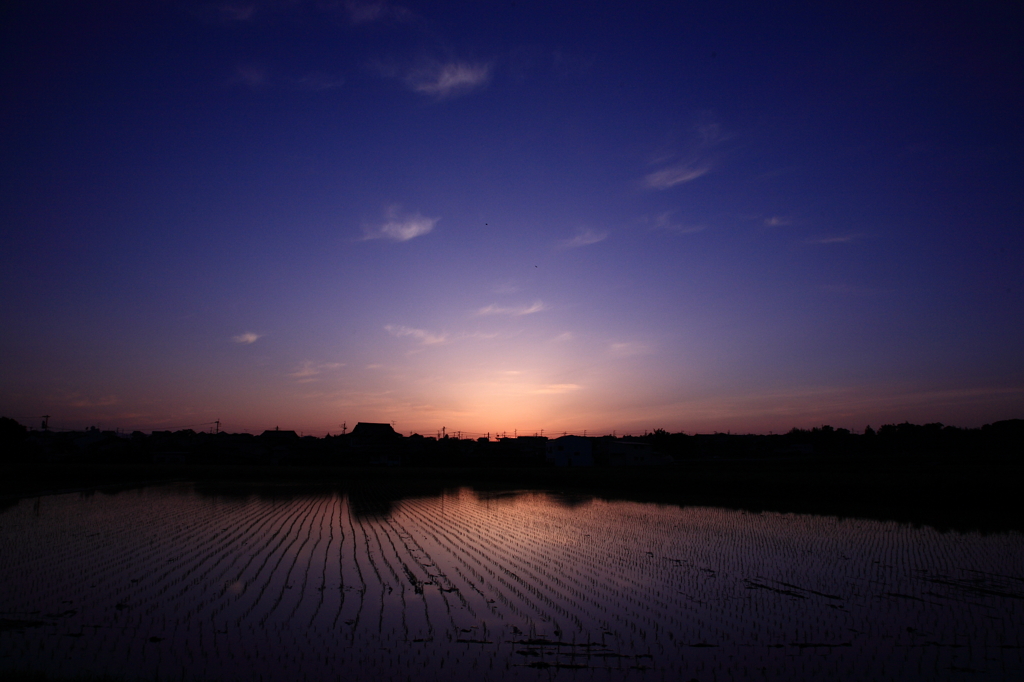 田植え
