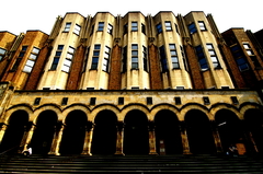 東京大学