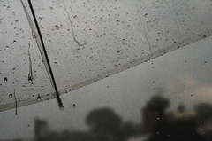 豪雨