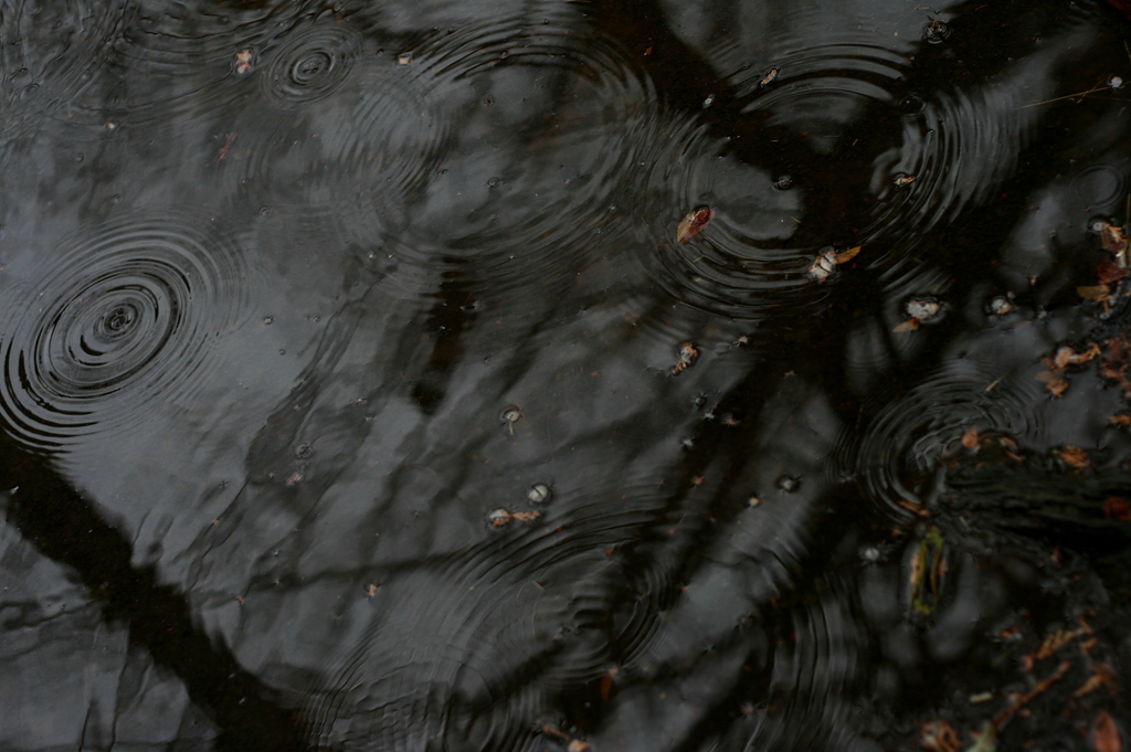 雨粒…その後