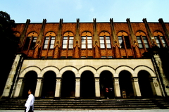 東京大学