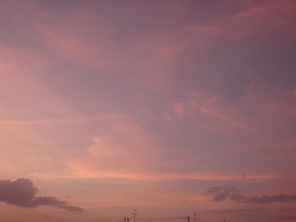 ピンクの飛行機雲