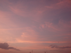 ピンクの飛行機雲