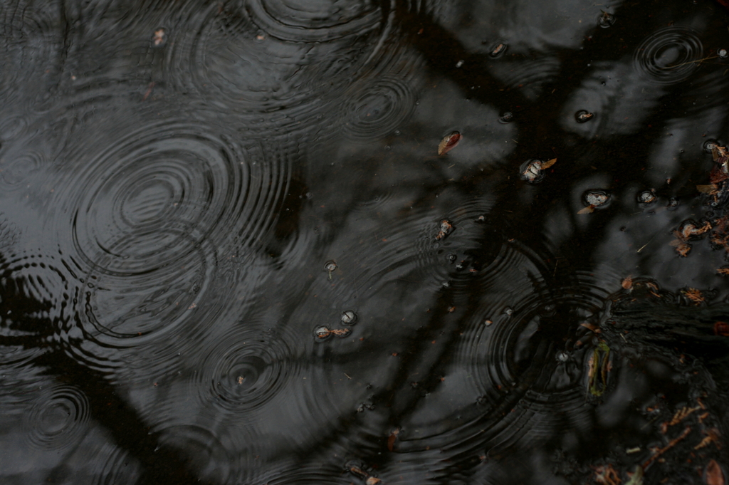 雨粒…その後2
