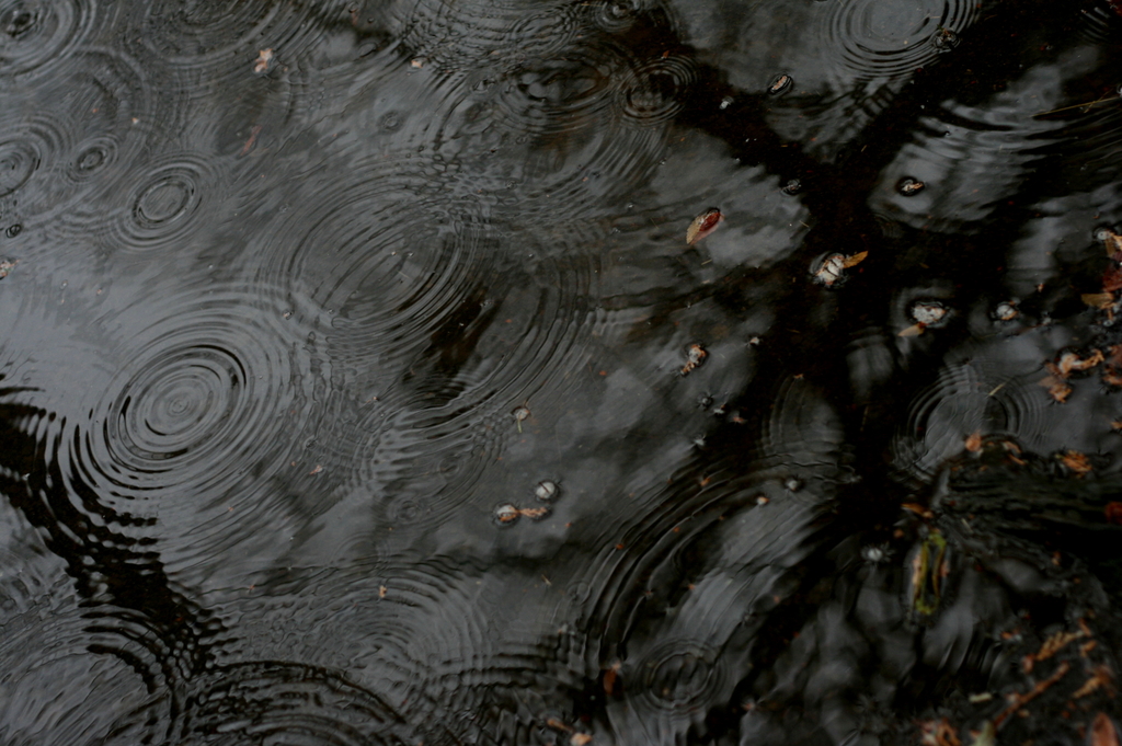 雨粒…その後3