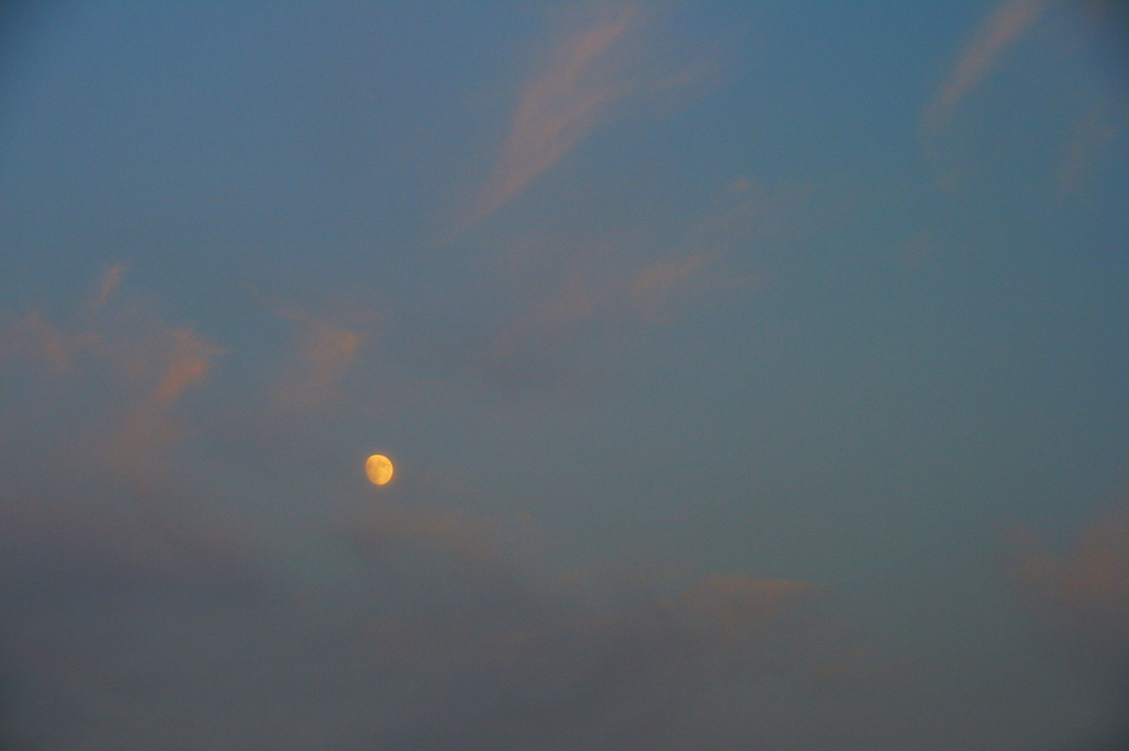 夕暮れに浮かぶ月