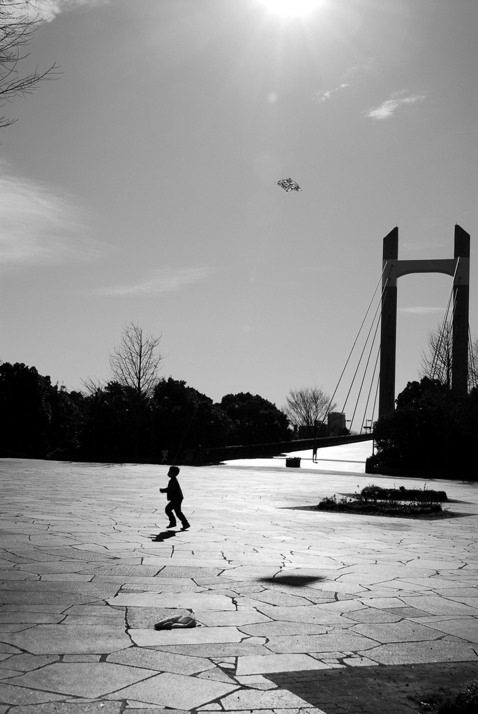 少年と凧と青空