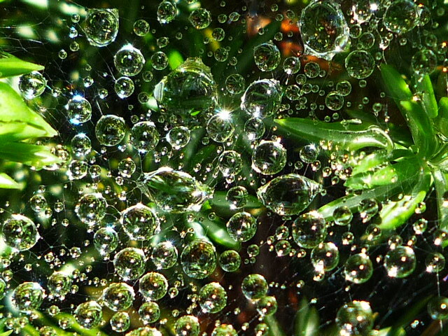 水滴