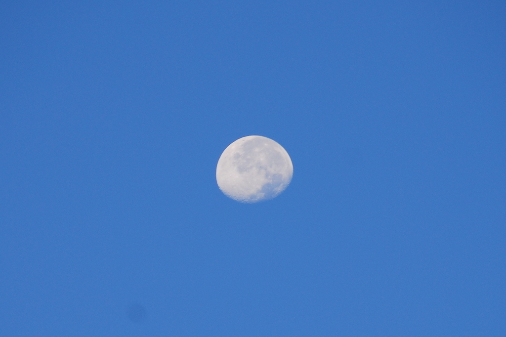 morning moon