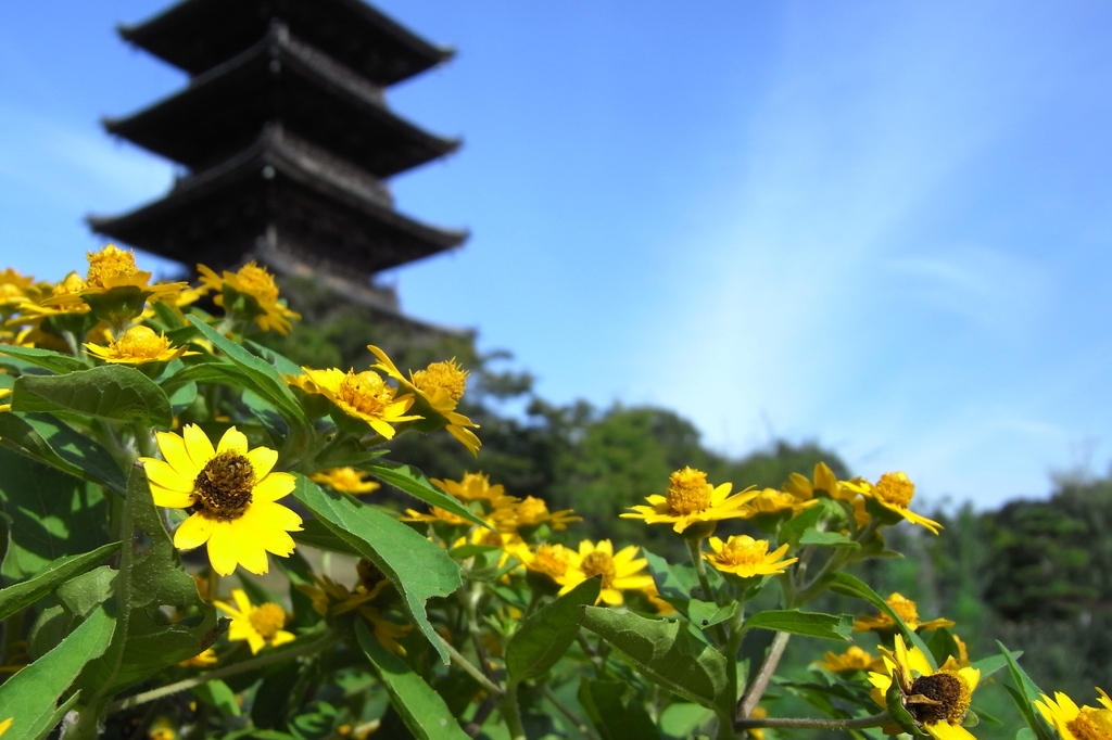 五重塔
