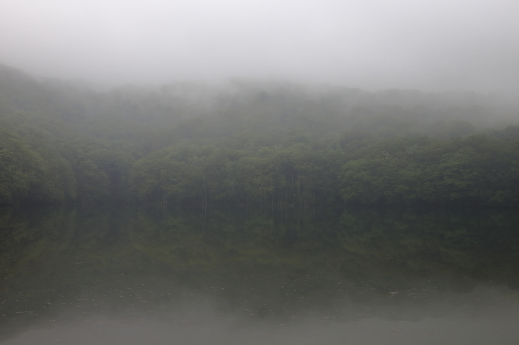 小雨の蔦沼