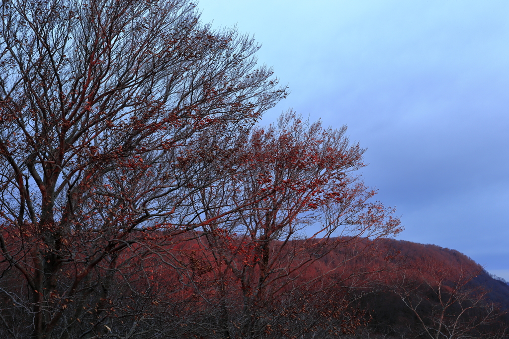 かちかち山