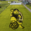 田んぼアート