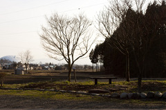 田舎のベンチ