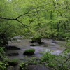 雨上がりの奥入瀬