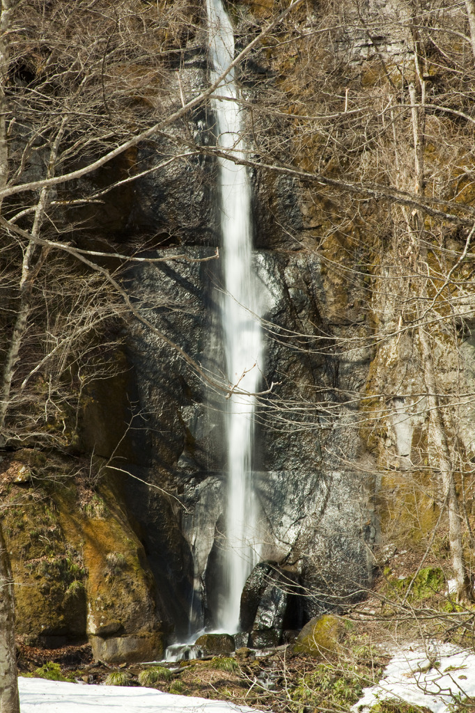 奥入瀬の滝３