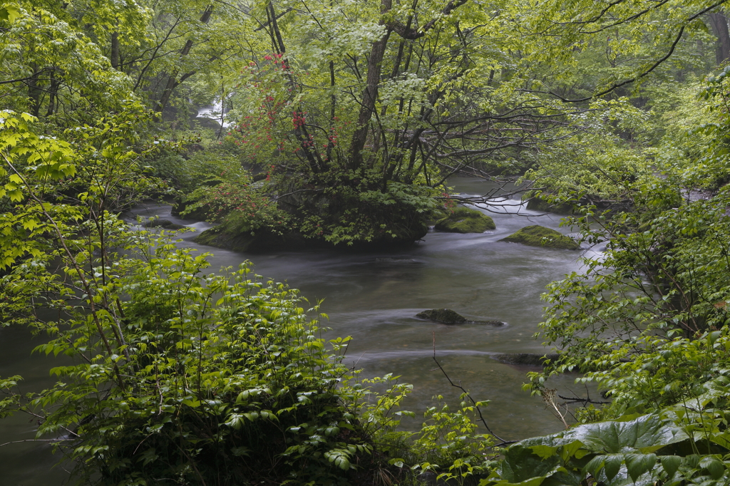 雨の九十九島