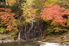 小滝と紅葉