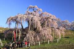 一斉に・・