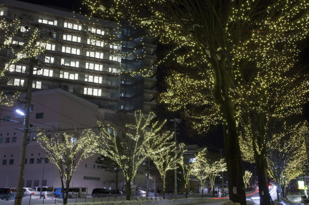 田舎のイルミ２