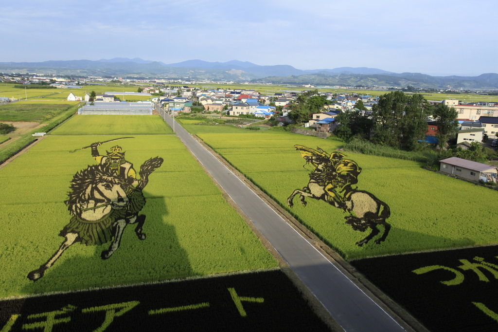 2009田んぼアート