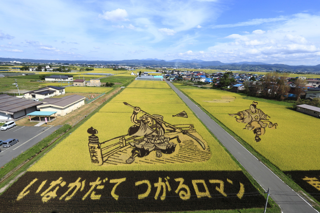田んぼアート