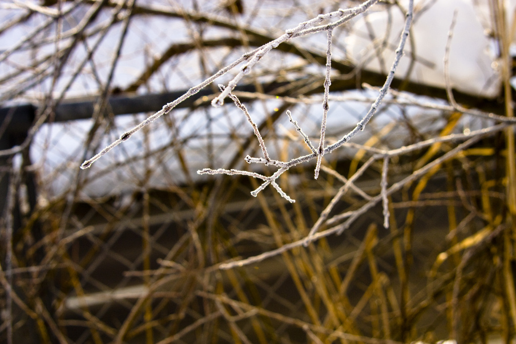 －１０℃の世界２