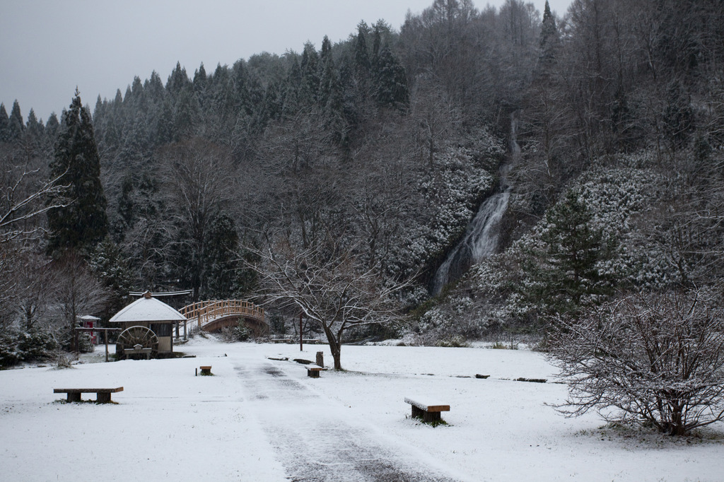 雪景色