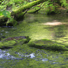 苔色の流れ2