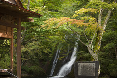 神社の脇の