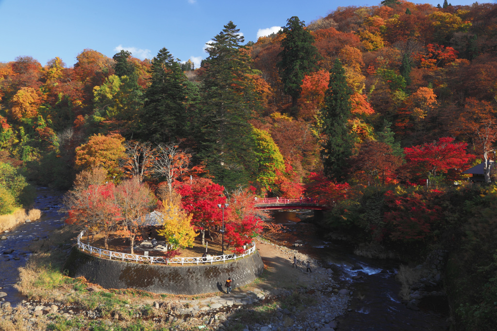中野もみじ山公園