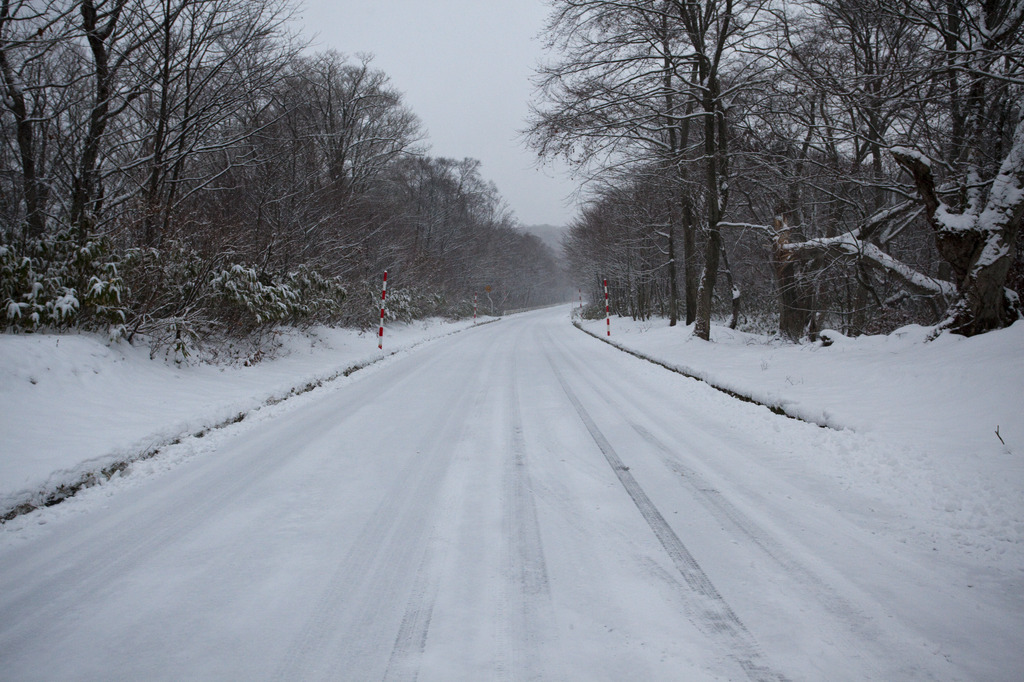 雪道