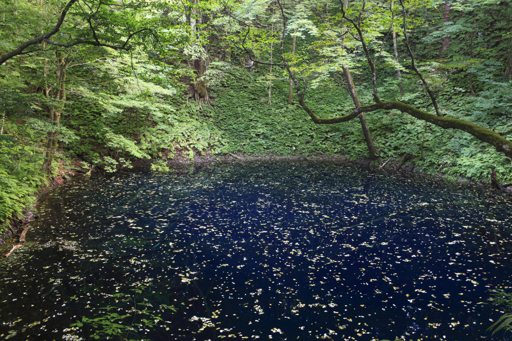 秋の気配