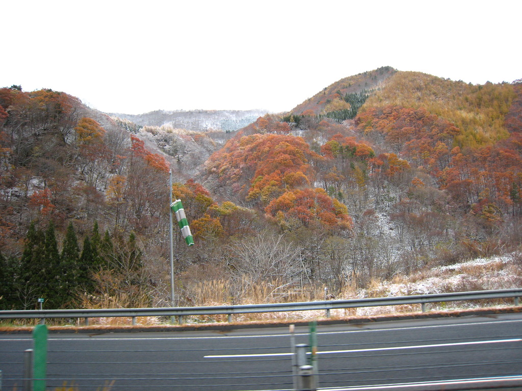 初雪と紅葉