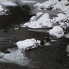 凍る小川