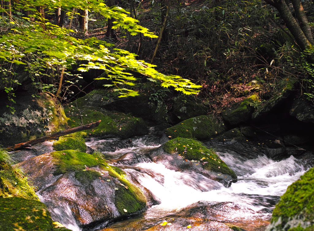 2013　清風と涼音