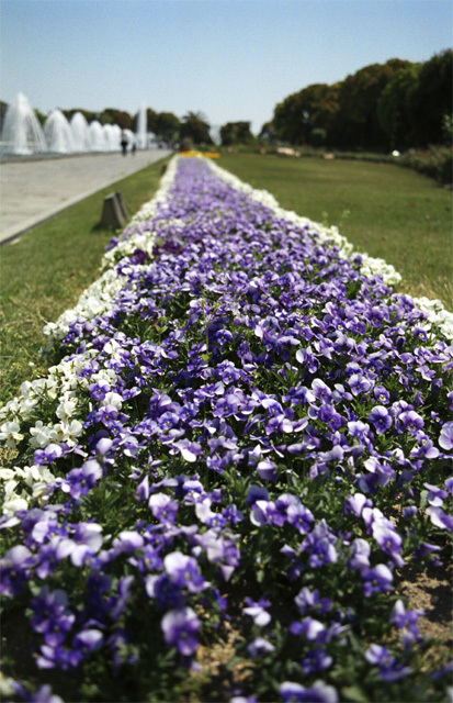 須磨離宮公園