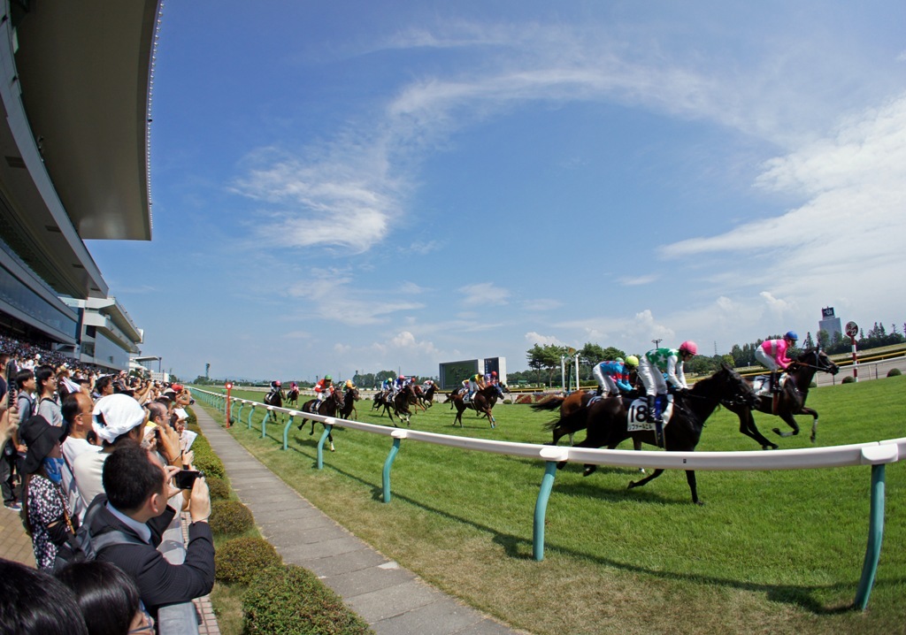 夏！競馬！！