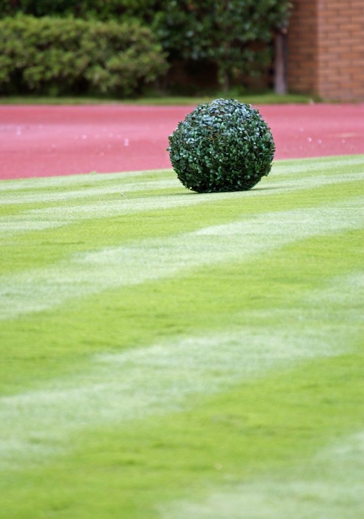 Boulders on the turf.