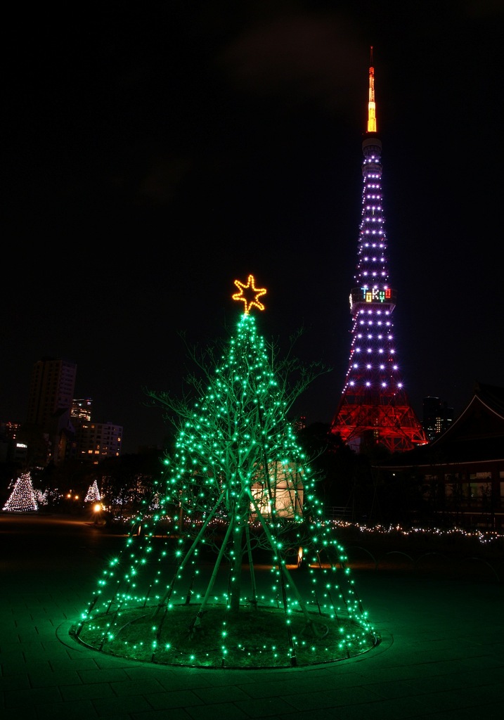 東京タワー 遠くから見るか？