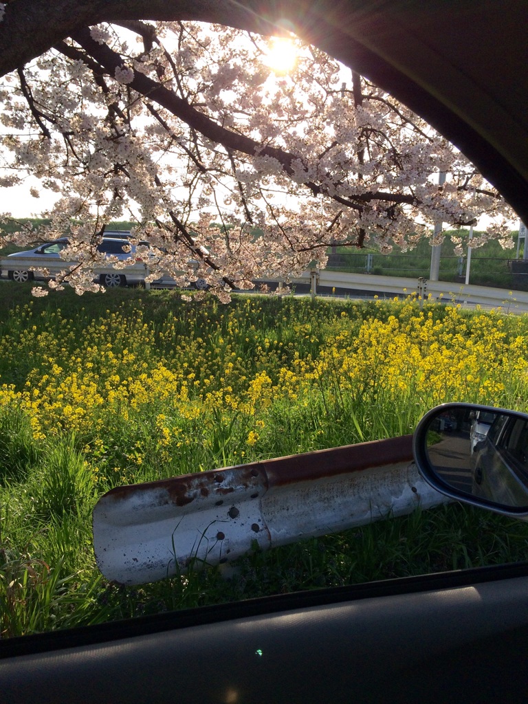 春の車窓