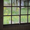 春の窓