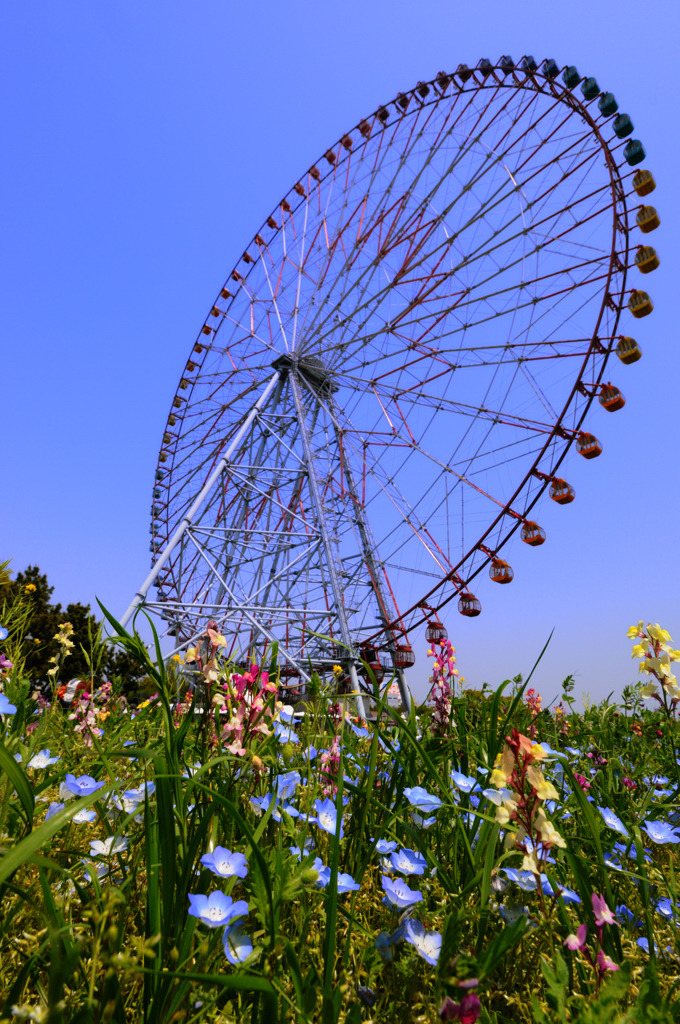 初夏の日差しに・・