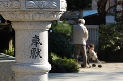 年の瀬の境内