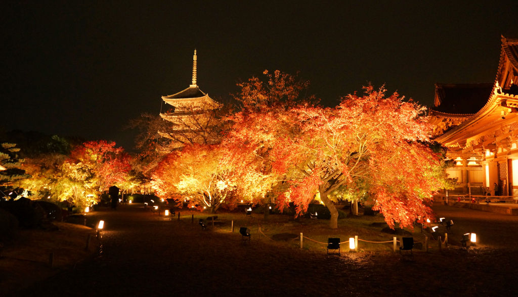 東寺夜景