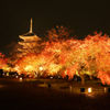 東寺夜景